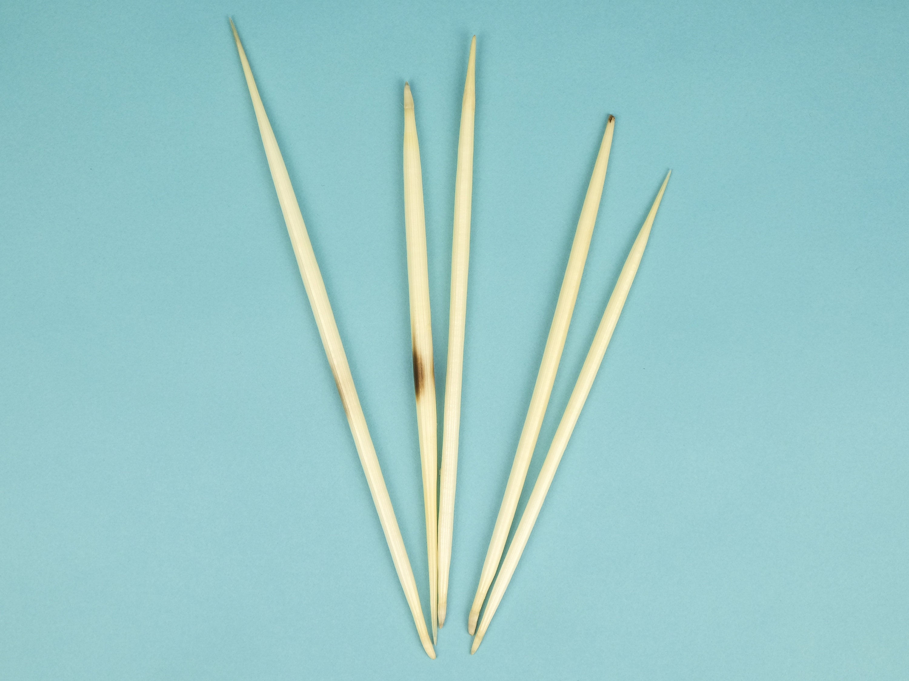 Authentic African Porcupine Quills, Medium 5-7 Long, 5 Pcs / Needles for  Quillwork, Craft, and Jewelry Making 