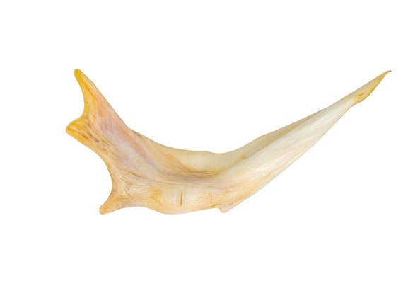 その他 VINTAGE JAW BONE CALIFORNIA FREE FORM その他 VINTAGE JAW BONE CALIFORNIA FREE FORM VINTAGE JAW