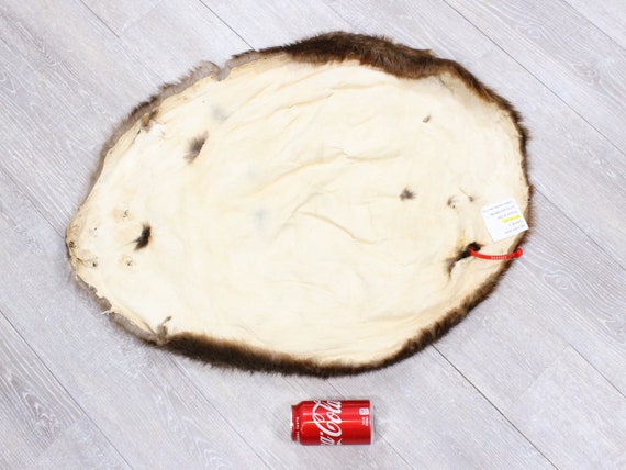 30-36 Extra-Large #1 Grade Real Beaver Skin 30-36 Extra-Large #1 Grade Real Beaver Skin