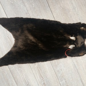 May include: A dark brown fur pelt with a white patch on the back. The fur is soft and fluffy.