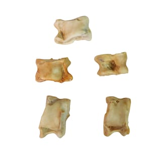 May include: Five small, light brown, irregularly shaped bones. The bones are arranged in a grid pattern on a white background.