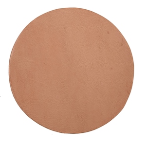 May include: A round, light brown leather coaster.