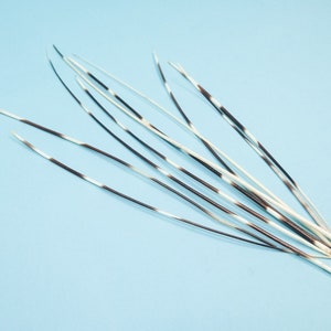 Puede incluir: Un manojo de plumas blancas y negras con un patr&oacute;n de bandas. Las plumas est&aacute;n dispuestas en forma de abanico sobre un fondo azul claro.