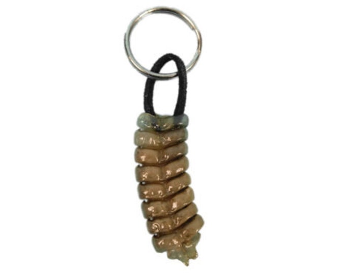 Rattlesnake Rattle and Leather Keychain 4231L 9UC17 Etsy