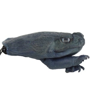 Navy Blue Dyed Cane Toad Coin Pouch (1019-10M-NB) Y2J