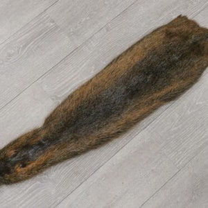 May include: A brown and black fur pelt with a long, narrow shape. The fur is soft and dense, and the pelt is in good condition.
