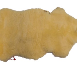 Medical Sheepskin Rug (1217-221-G1910) Y3K