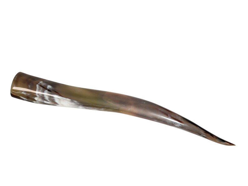 May include: A long, curved, brown and white horn.