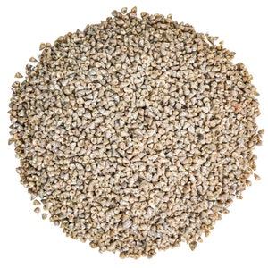 Pearled Pearly Top Shells: 1-KG bag (2.2 lbs) (2HS-3308K-KG) Y3K