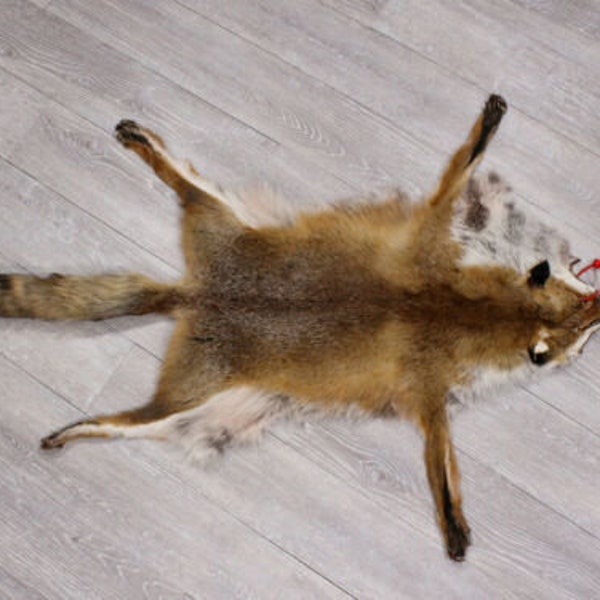 Real Red Fox Skin with Feet (180-03-WF-G4019) Y3L