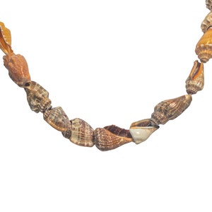 May include: A necklace made of brown and white seashells. The shells are strung together with a thin cord.