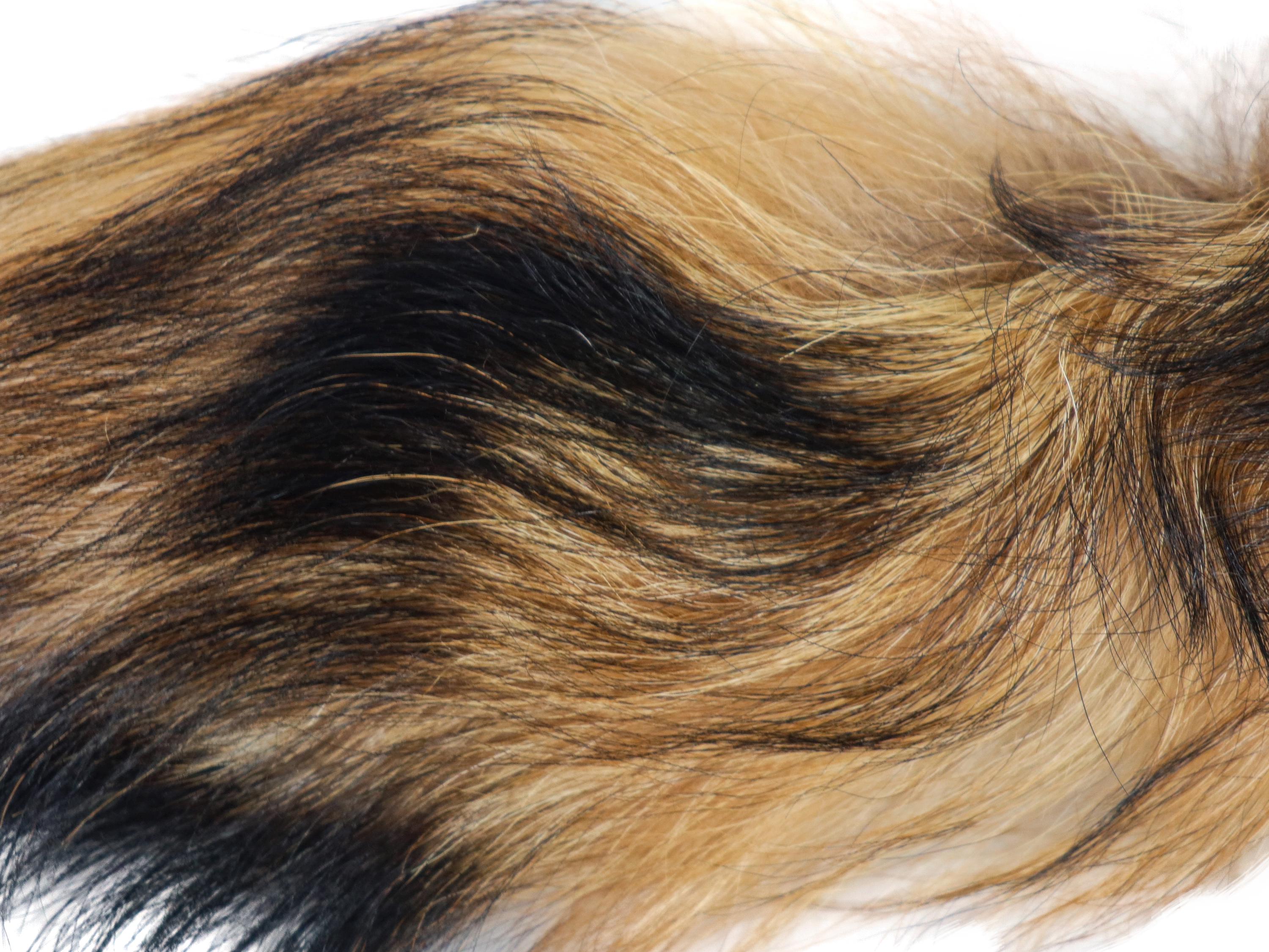finland raccoon boa／　自然色　／GAKE日本製❣️ Chinese Raccoon Tail Tanuki Natural Color Russian Finn (18