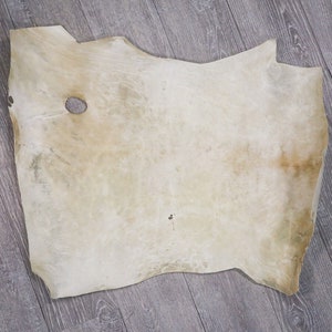 Small Goat Rawhide Skin (55-50S-G4726) Y2J