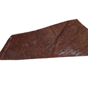 Moose Antler Palm Piece (513-PC-G4437) Y3H