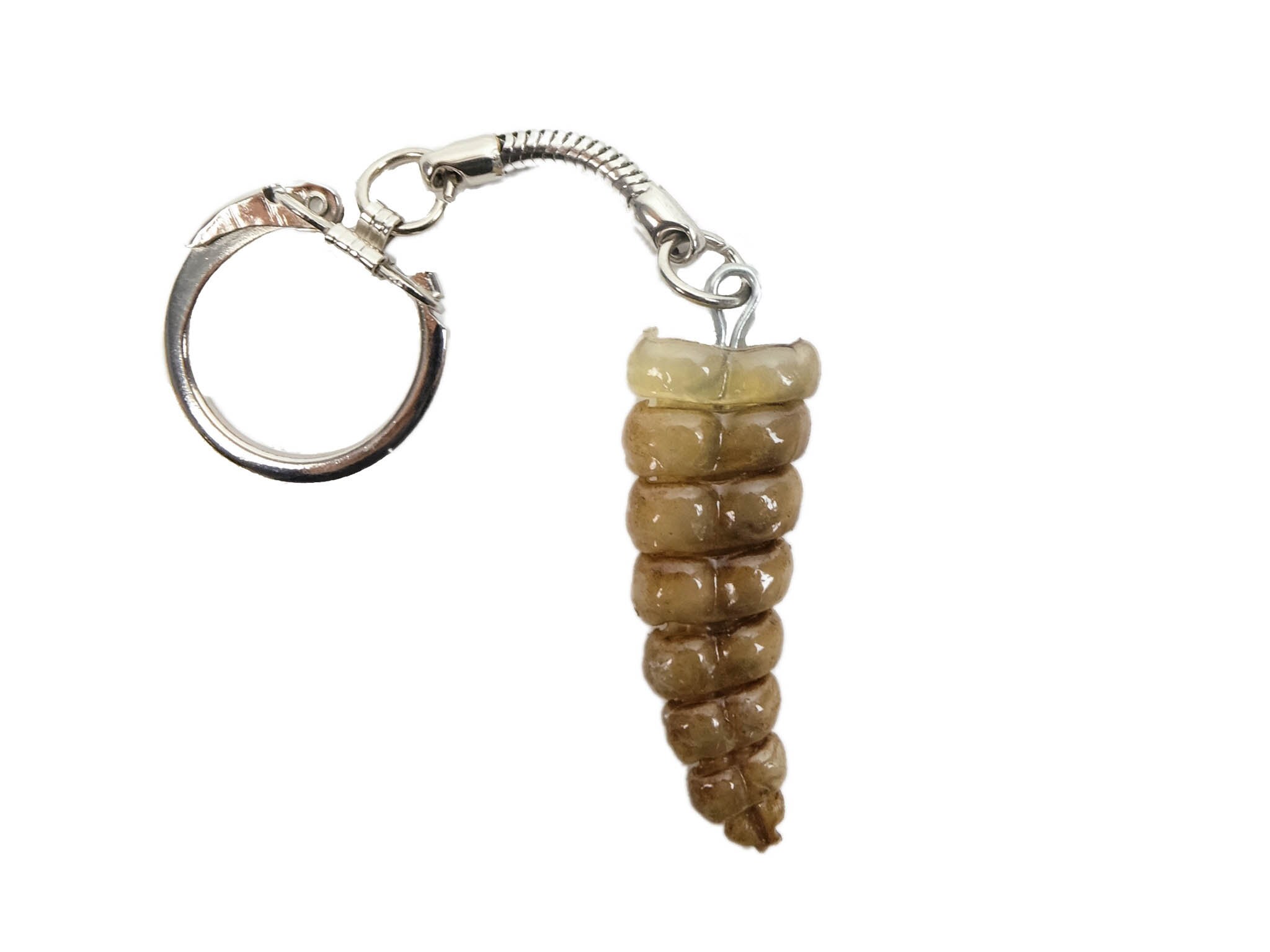Rattlesnake Rattle Keychain 4231 C4C Etsy