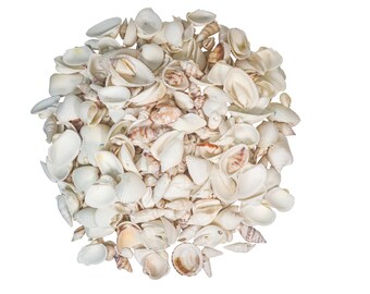 White Mixed Shells: 1-Gallon (2HS-4250G-GA) 9UL5