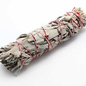 May include: A bundle of dried white sage leaves, tightly bound with red and white twine. The sage has a light green-gray color, and the twine is wrapped around the bundle several times. The background is plain white.