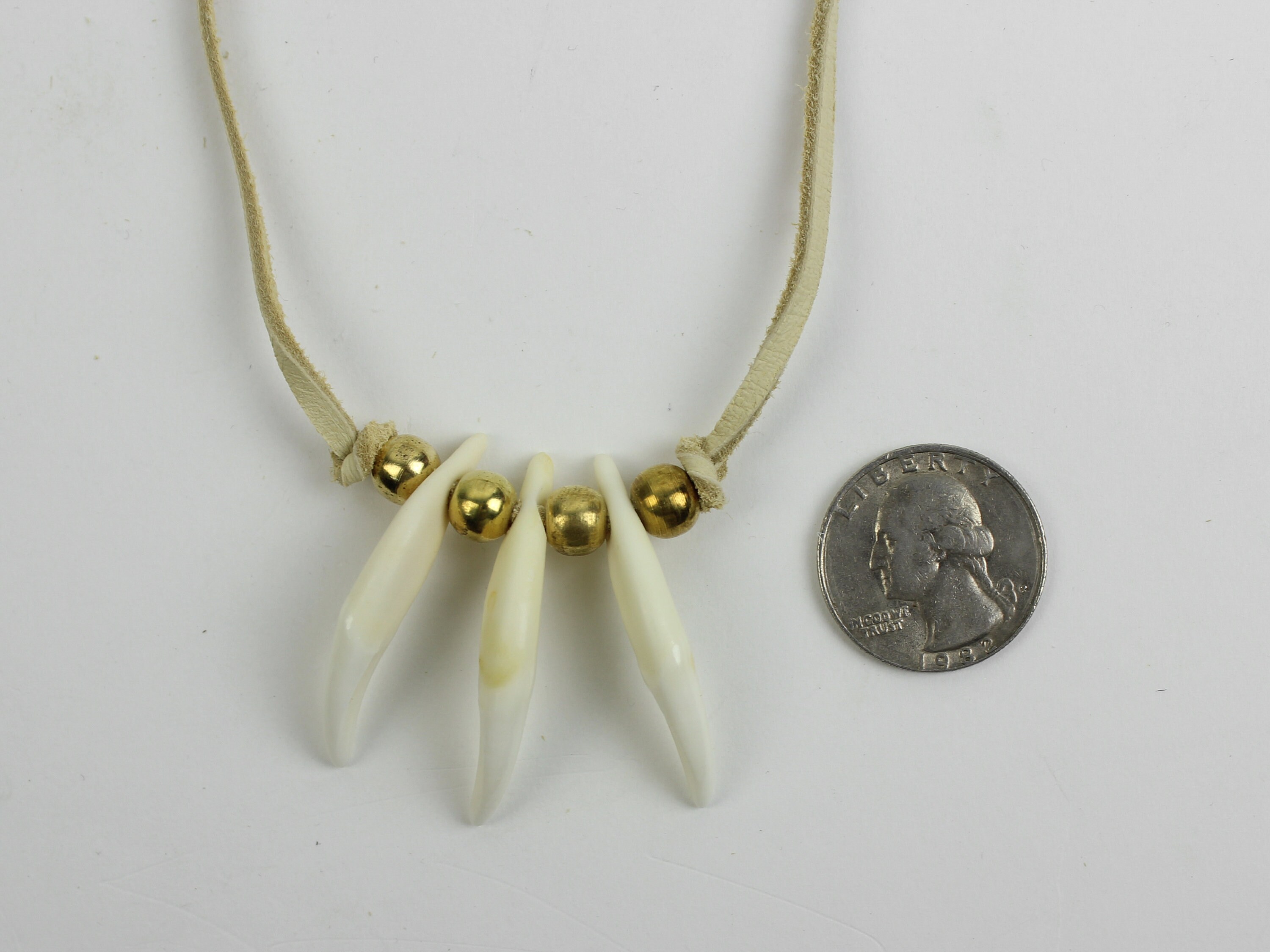 Real Coyote Tooth Necklace 3Tooth 560903 D1 Etsy