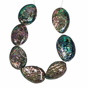 Random Assorted Small Polished Paua Shell Strand (565-BPS) 8UQ6 - Etsy