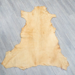 Real Brain-Tanned White Tail Deer Leather Hide (2-30-G6014) Y3L