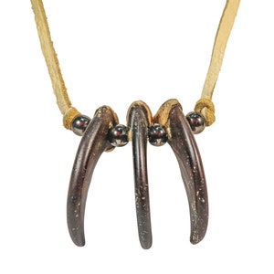 Black Bear Claw 2