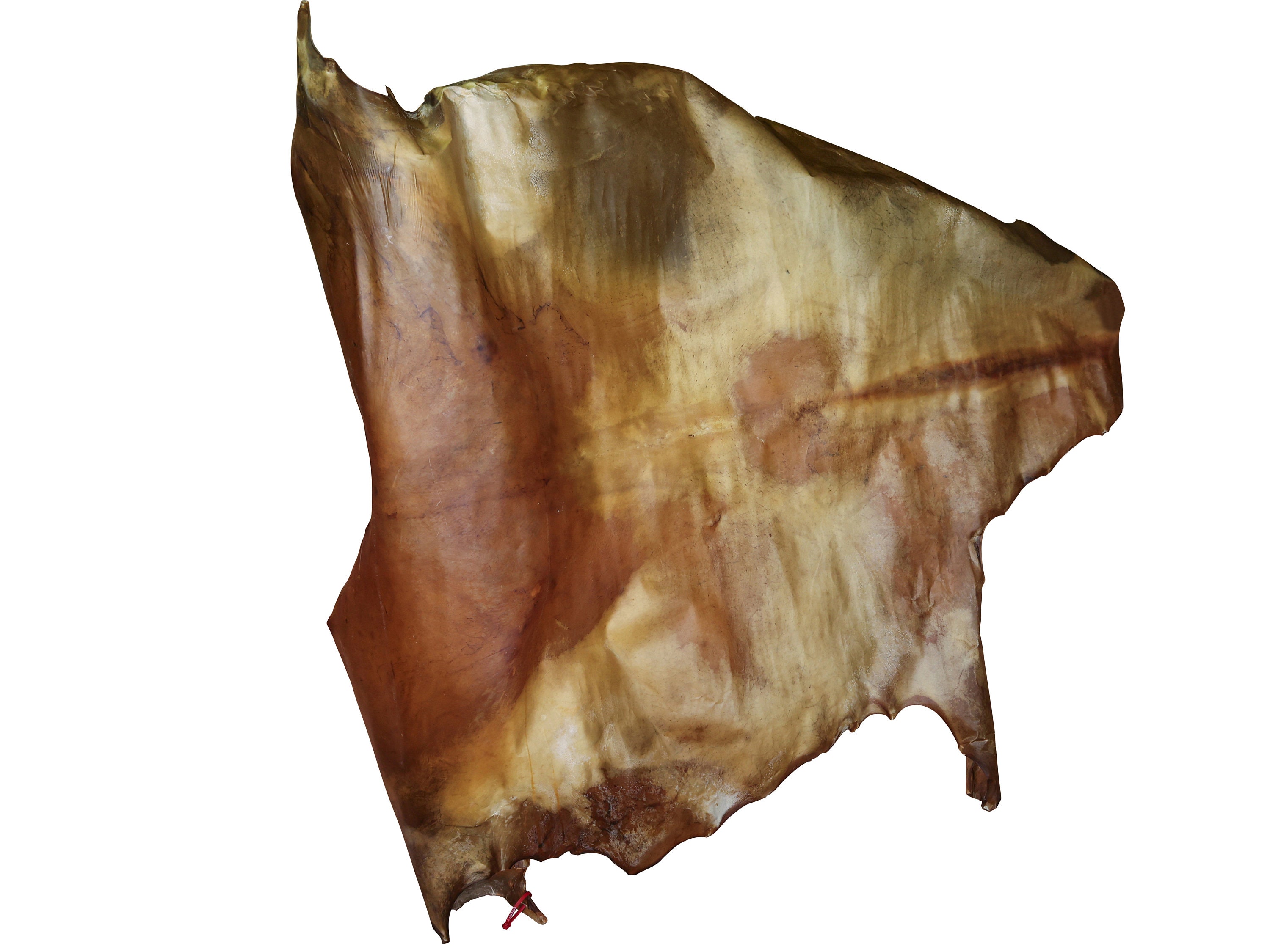Horse Rawhide Full Hide (55-90-R-G8507) Y2J - Etsy