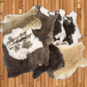 Random Lot of 10 Poubelle Rabbit Skins: Mixed Natural Colors (188-06N) Y1K