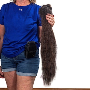 Tanned Real Icelandic Horse Tail (18-06VT-G6297) Y1H