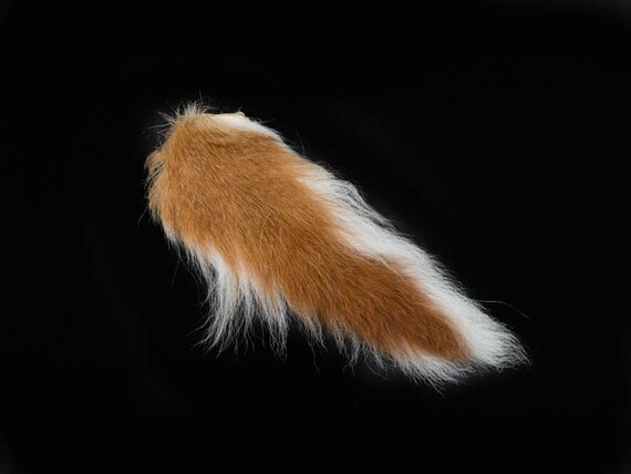 deer tail