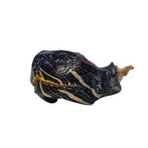 May include: Close-up of a turtle's head, showing its black, yellow, and red shell. The turtle's eyes are closed.