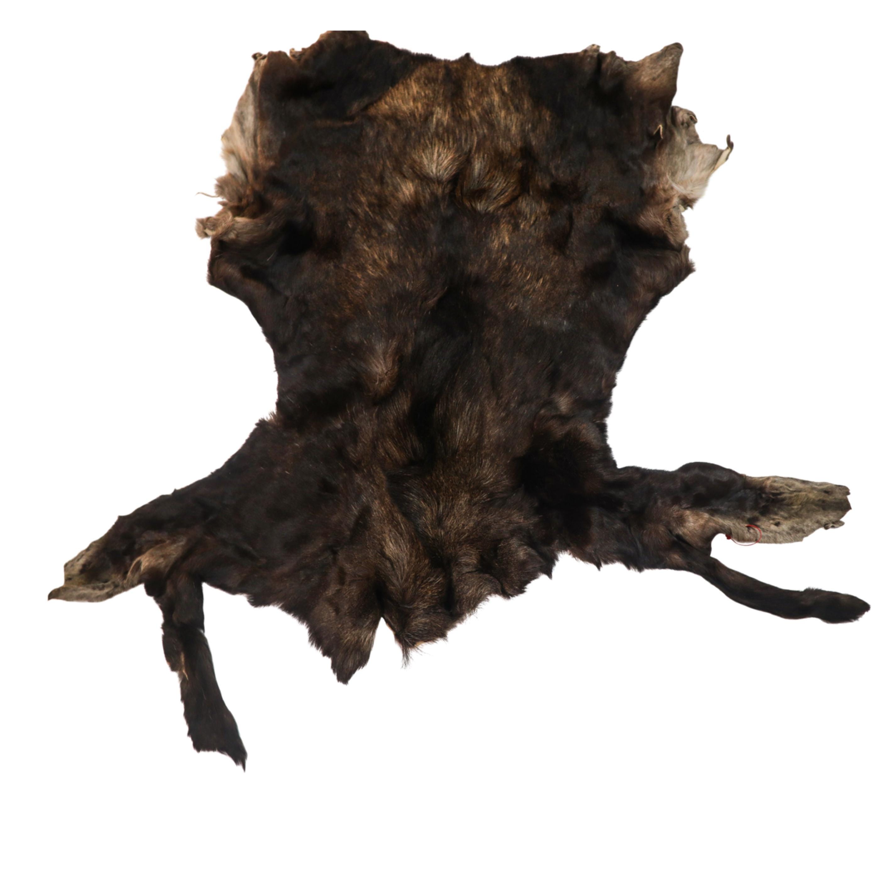 Authentic Real Tanned Moose Hide (575-SKI-G75) - Etsy