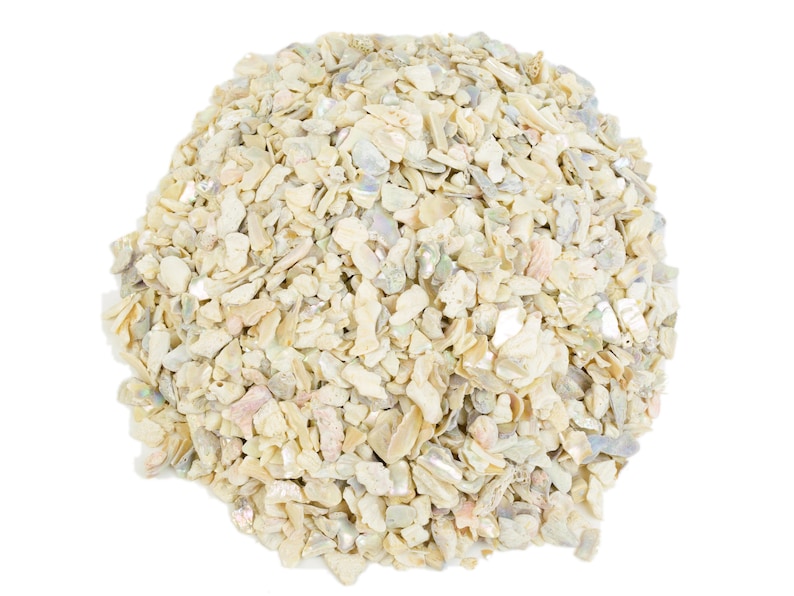 1-kg bag 220-TP-10-BW Bleached White African Abalone Shell Pieces: 10mm size 10UB 2.2 pounds