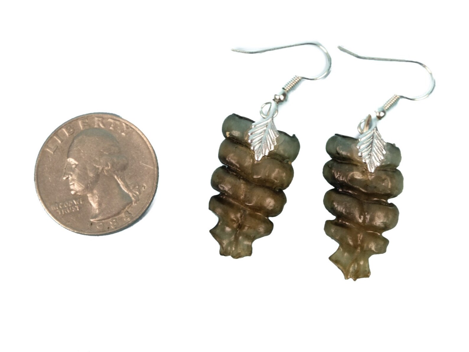 Real Rattlesnake Rattle Earrings Pair Silver Plated Small Etsy