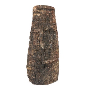 Dahl Sheep Horn Piece (311-G6029) Y2L