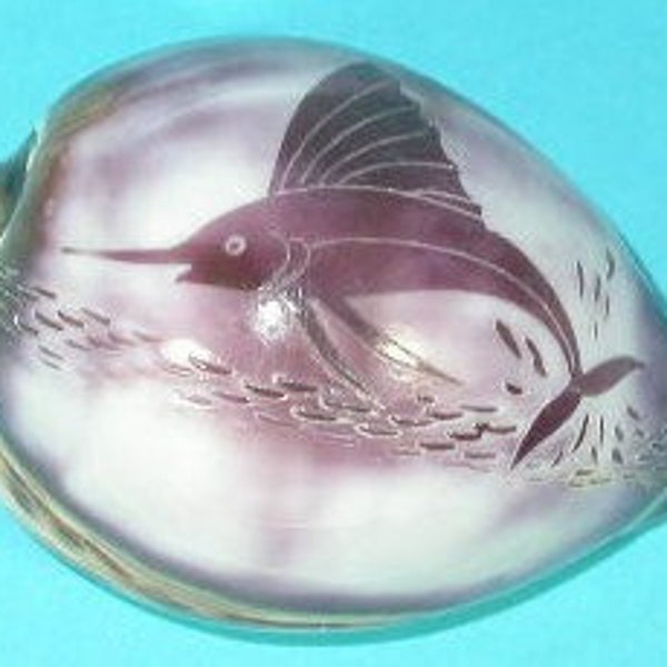 Engraved Shell - Etsy