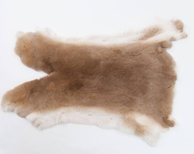 Rex Rabbit Skin: Natural Brown and White, Beige (142-12-G1354) - Etsy