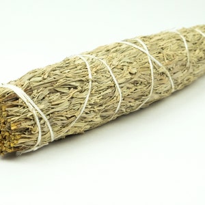 Two (2) bundles of Gray Sage: 8&quot; (L10)