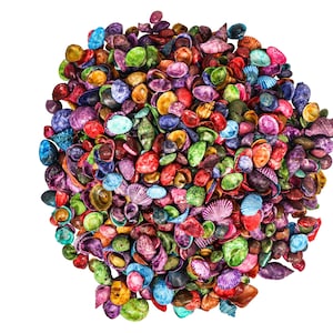 Small Indian Shell Mix Dyed: 1-KG bag (2.2 lbs) (2HS-3262DK-KG) Y3K