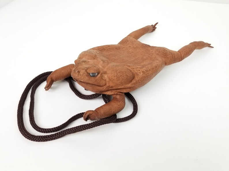 Real Cane Toad Necklace Pouch 101920NA C15 Etsy