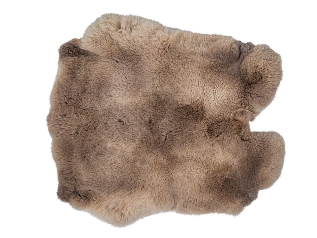 Natural Rex Rabbit Skin (142-F-G6226) Y2E - Etsy