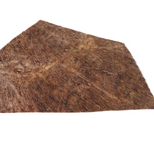Moose Antler Palm Piece (513-PC-G4434) Y3H