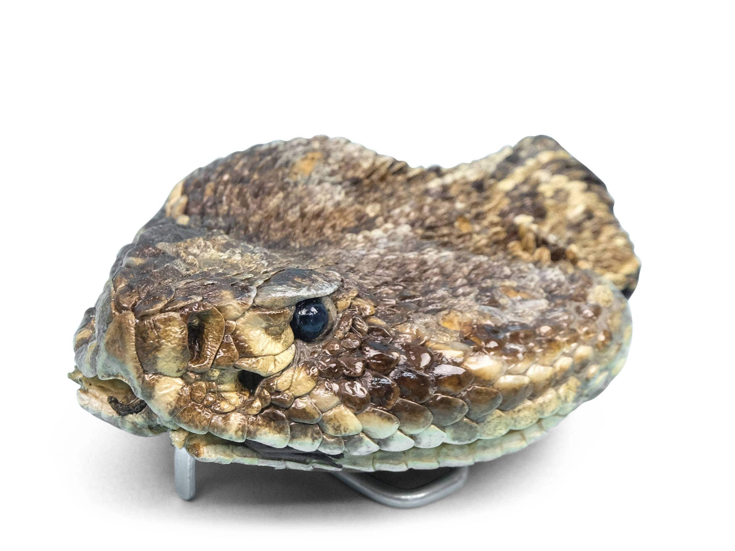 ブ*ス様 rattle snake のバックル Real Rattlesnake Belt Buckle: Full Head (598-BB415-AS) Y2L