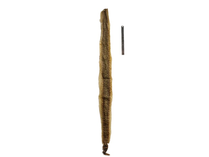 598-SKI-G4159 Real Texas Western Rattlesnake Skin with Rattle N Gallery