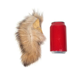 Extra Large Badger Tail (18-01-XL) / image 4