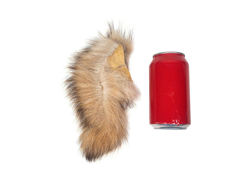 Extra Large Badger Tail (18-01-XL) / image 4