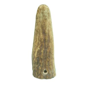 Ten(10) Small Drilled Antler Tips (1.5" - 2.5") (158-S-D) A
