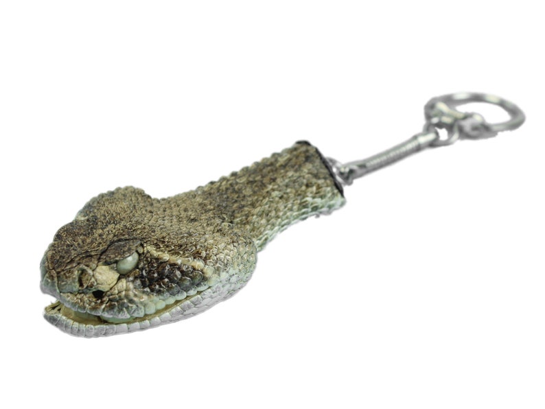 Real Rattlesnake Head Keychain Closed Mouth 4230C C4D Etsy