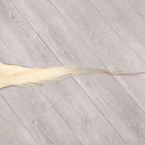 Tanned Horse Tail: Blonde (18-06T-G2558) Y1H