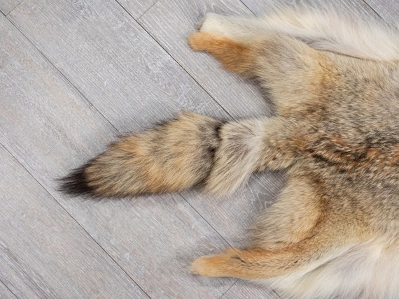 Craft Grade Coyote Skin (262-G2820) Y2F - Etsy