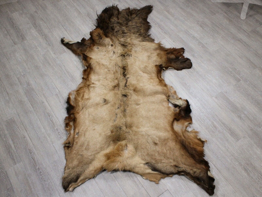 Tanned Elk Hide Gallery 43G3257 10UF Etsy